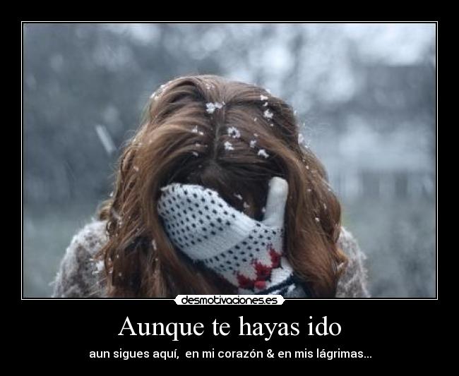 Aunque te hayas ido - aun sigues aquí, en mi corazón & en mis lágrimas...