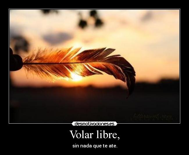 Volar libre, - sin nada que te ate.