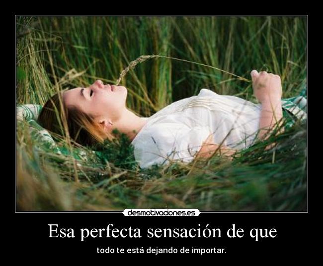 Esa perfecta sensación de que -