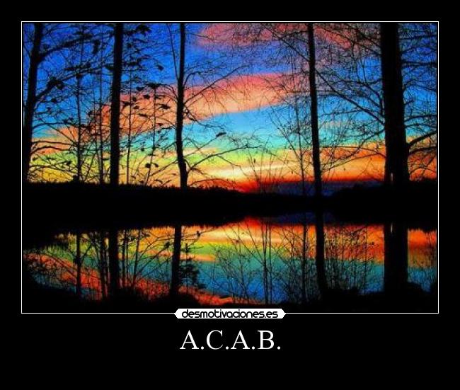 A.C.A.B. -
