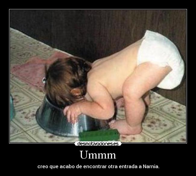 Ummm - creo que acabo de encontrar otra entrada a Narnia.