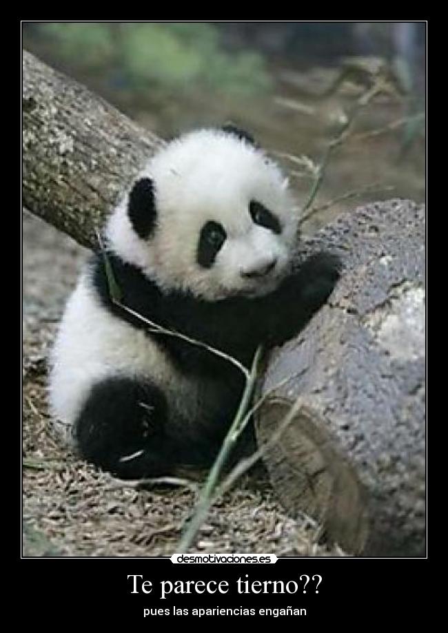 Te parece tierno?? - pues las apariencias engañan