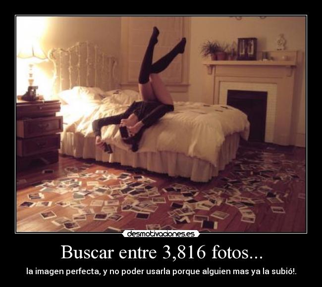 Buscar entre 3,816 fotos... -