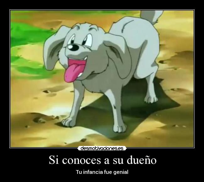 Si conoces a su dueño -