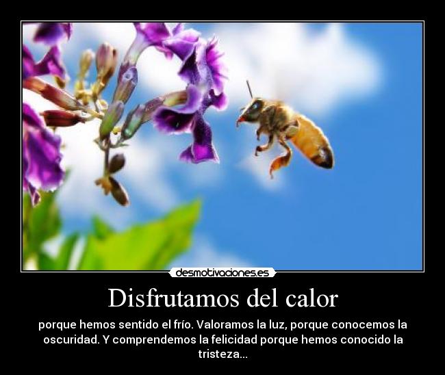 Disfrutamos del calor -