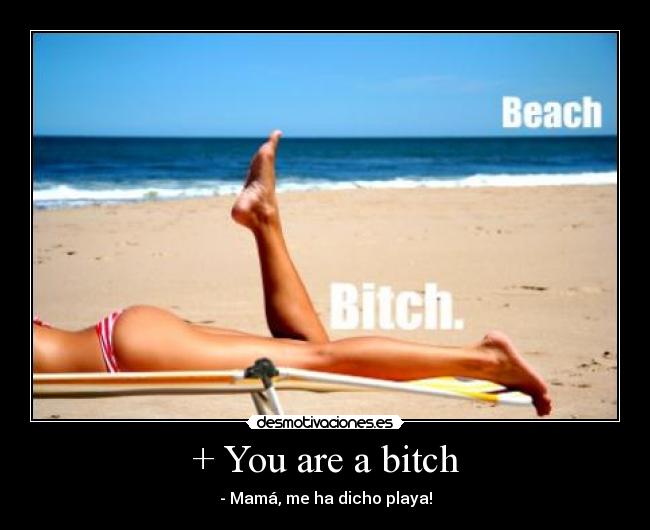 + You are a bitch -