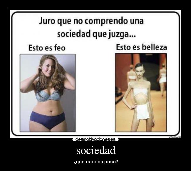 sociedad -