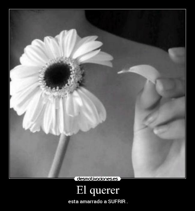 El querer - esta amarrado a SUFRIR .