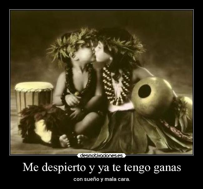 carteles fitomola desmotivaciones