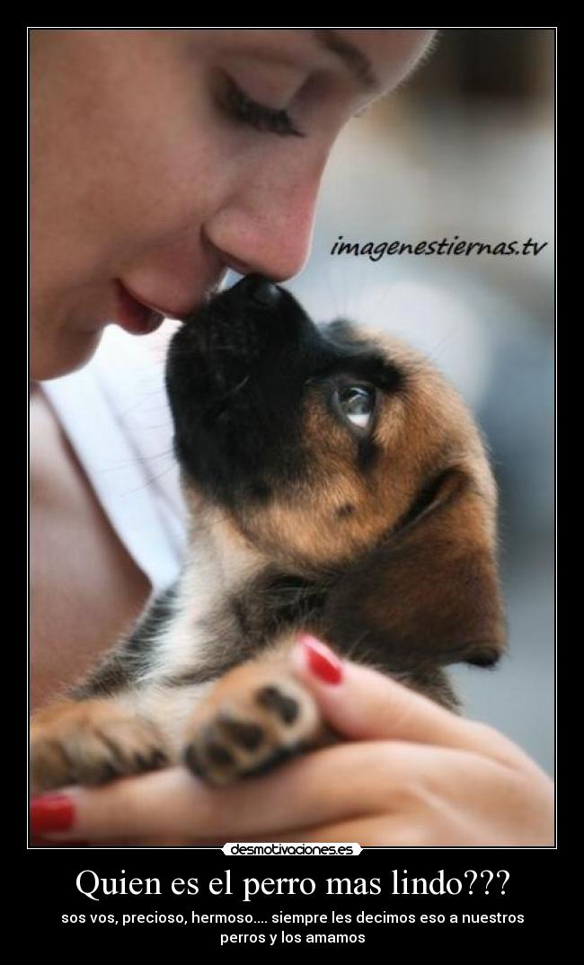 carteles pauliherrero desmotivaciones