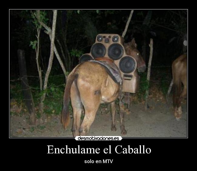 Enchulame el Caballo - 