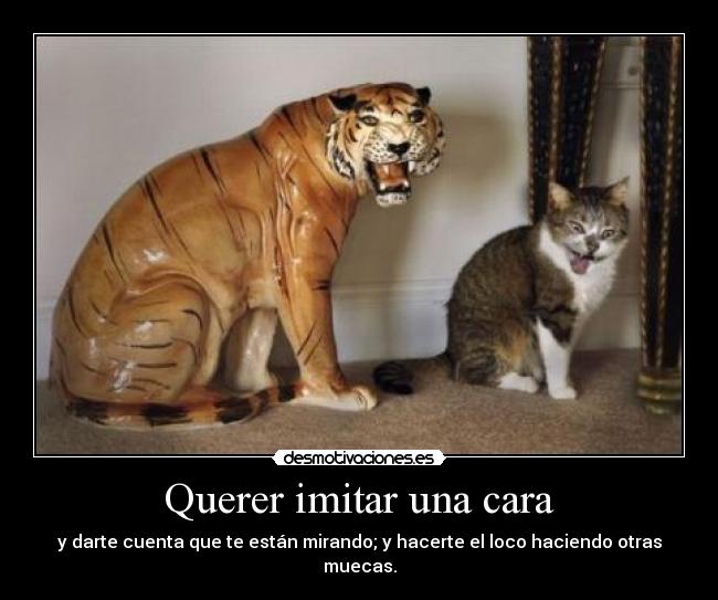 Querer imitar una cara - y darte cuenta que te están mirando; y hacerte el loco haciendo otras muecas.