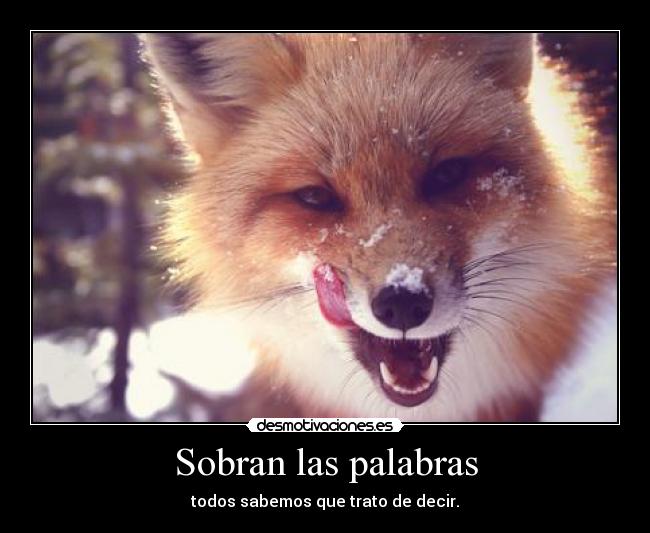 Sobran las palabras - 