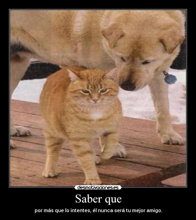 Saber que - por más que lo intentes, él nunca será tu mejor amigo.