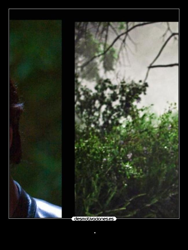 carteles paulovestokio megacartel jodais desmotivaciones