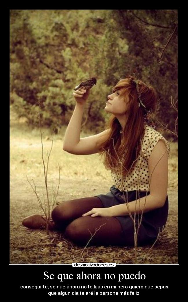 Se que ahora no puedo - 