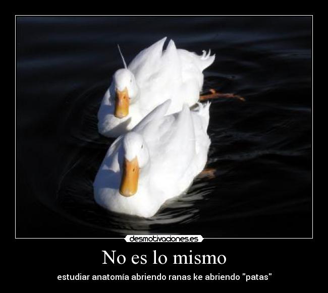 carteles estudiar anatomia ranas patas abriendo desmotivaciones