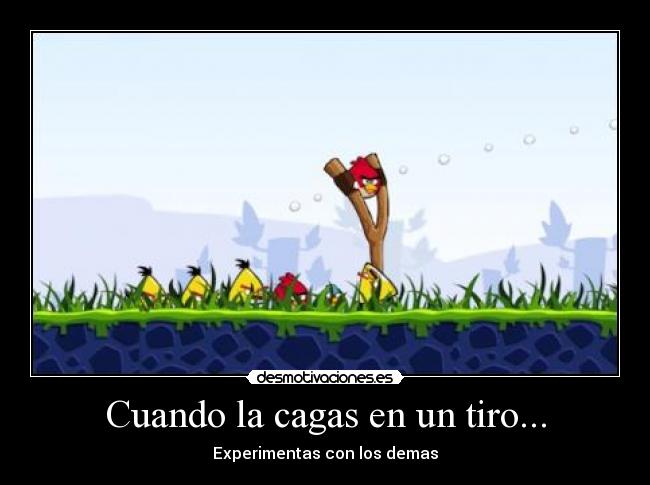 carteles angry birds desmotivaciones