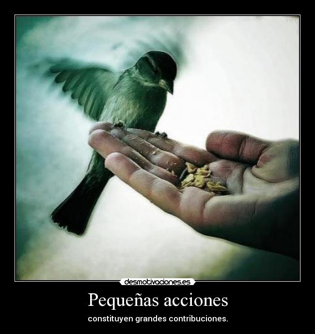Pequeñas acciones - 