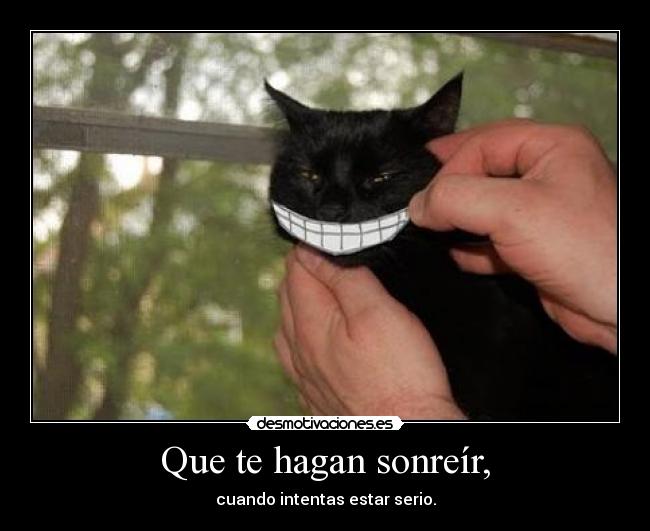 carteles mew desmotivaciones