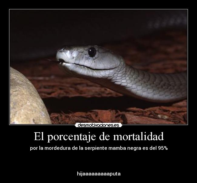 El porcentaje de mortalidad - 