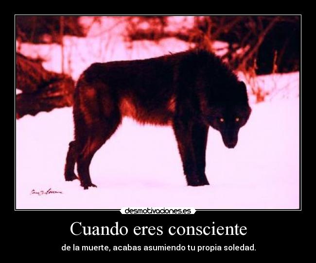 carteles soledad aquello que siempre estara con nosotros rekiem desmotivaciones