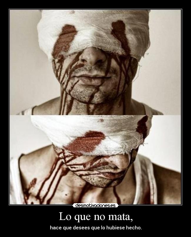 carteles para todo demas mastercat desmotivaciones