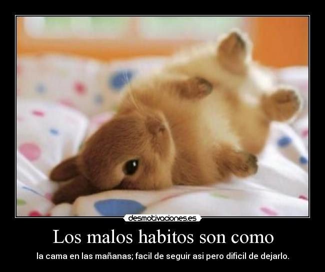 Los malos habitos son como - la cama en las mañanas; facil de seguir asi pero dificil de dejarlo.