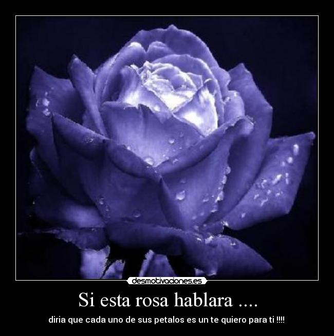 Si esta rosa hablara .... -