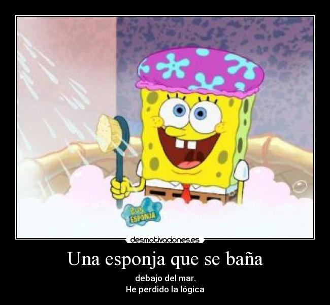 Una esponja que se baña - debajo del mar.
He perdido la lógica