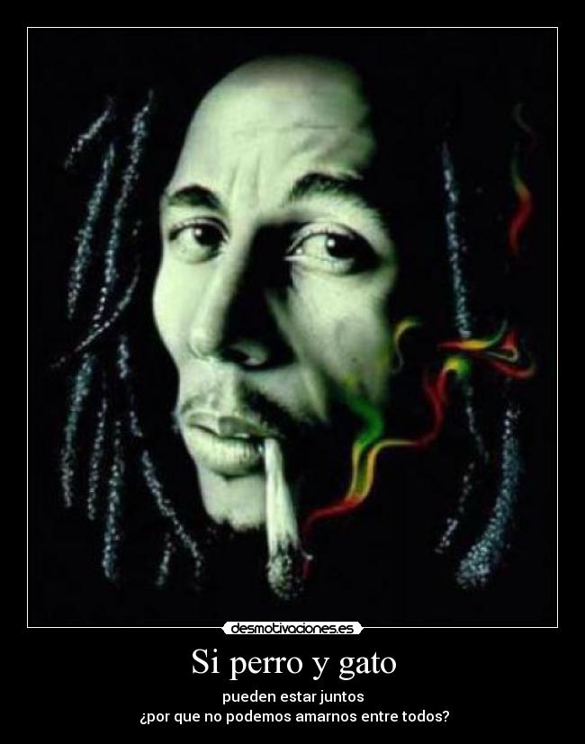 Si perro y gato -