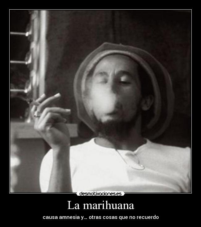 La marihuana - causa amnesia y… otras cosas que no recuerdo