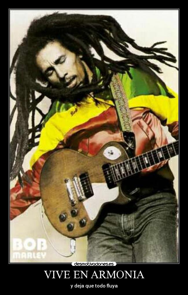 carteles davicho vicho desmotivaciones