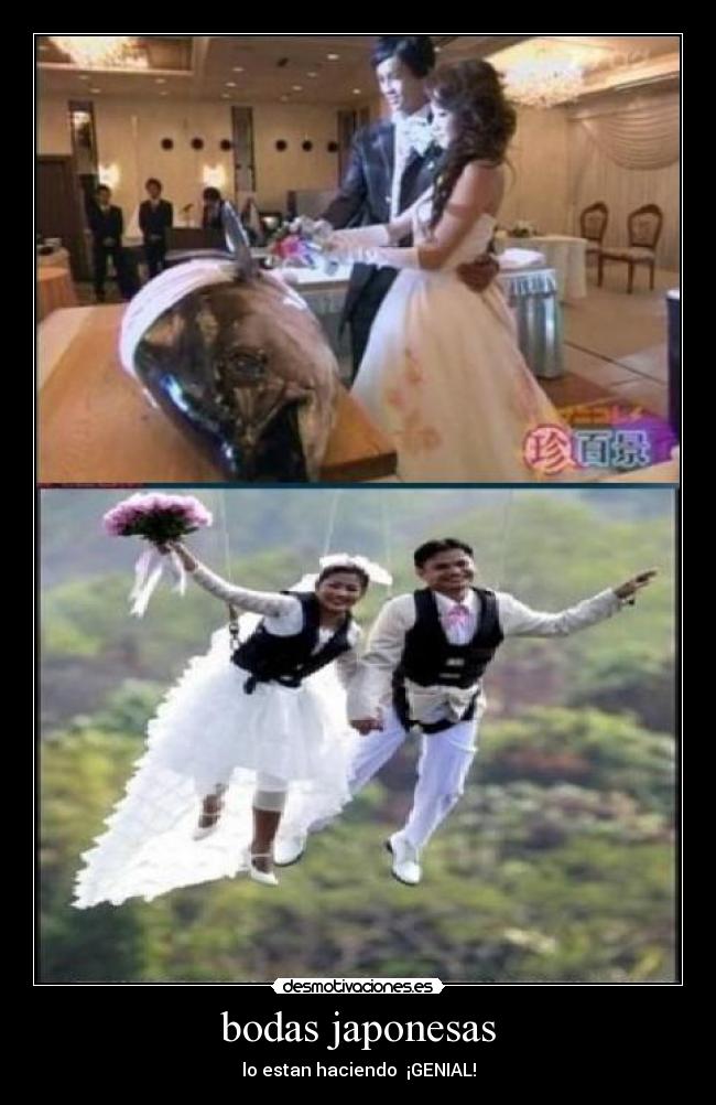 bodas japonesas - 