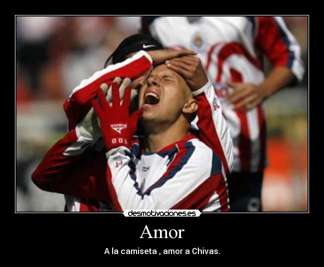 carteles amor chivas desmotivaciones