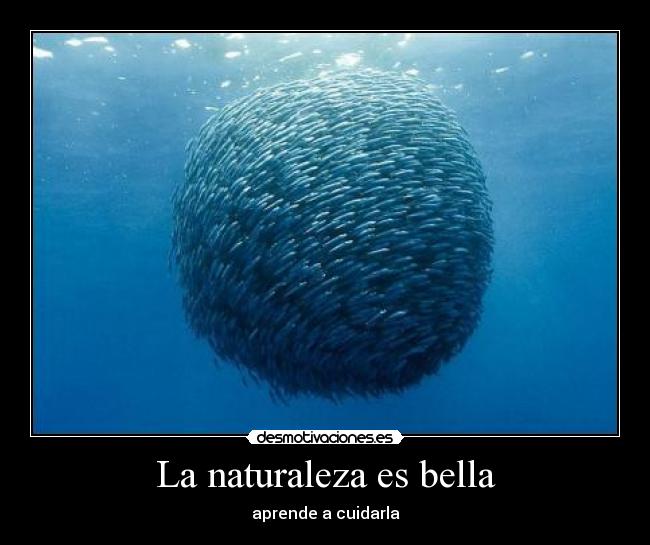 La naturaleza es bella -