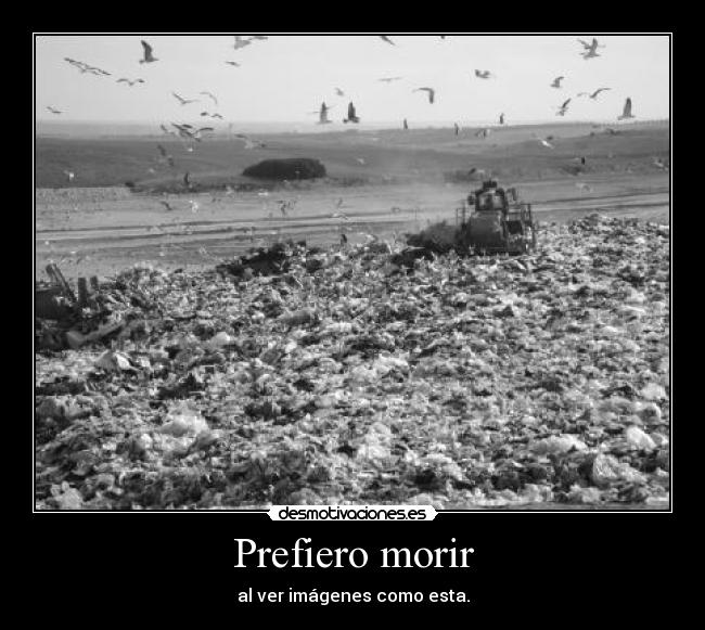 carteles valla mundo nunca cuidamos desmotivaciones