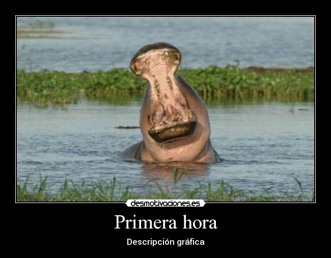 Primera hora - 