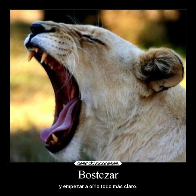 Bostezar - 