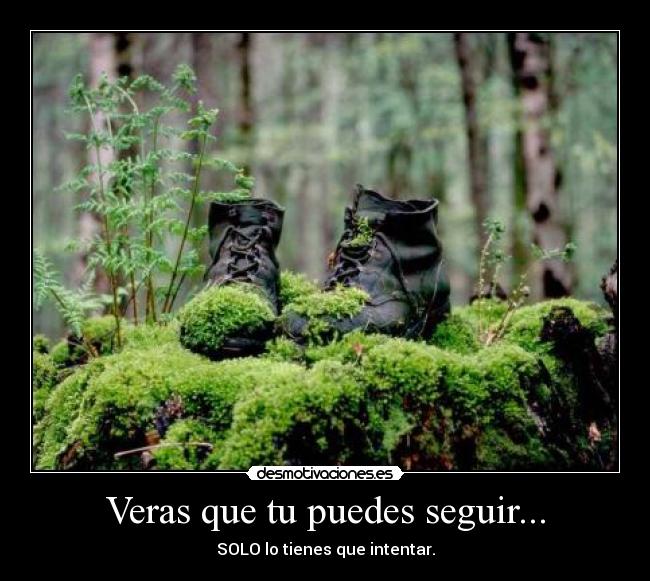 carteles botas desmotivaciones