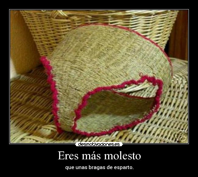 carteles picores constantes desmotivaciones