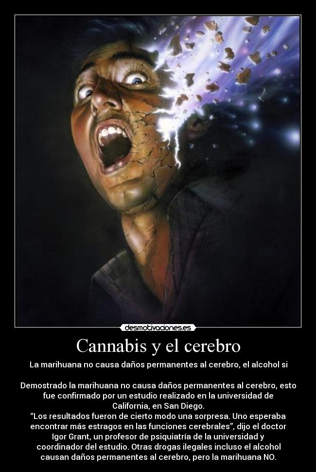 Cannabis y el cerebro -