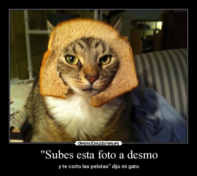 Subes esta foto a desmo -