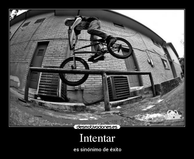 carteles intentar desmotivaciones