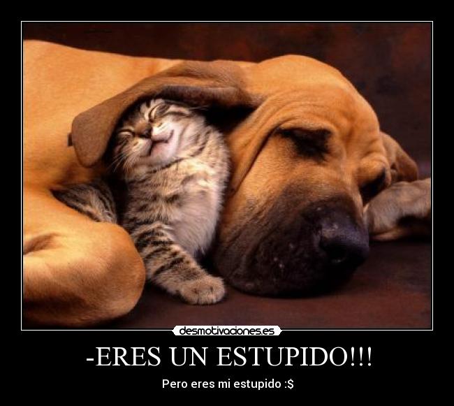 -ERES UN ESTUPIDO!!! -