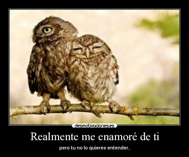 Realmente me enamoré de ti -