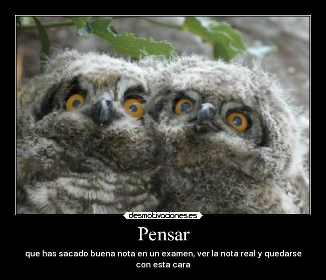 Pensar -