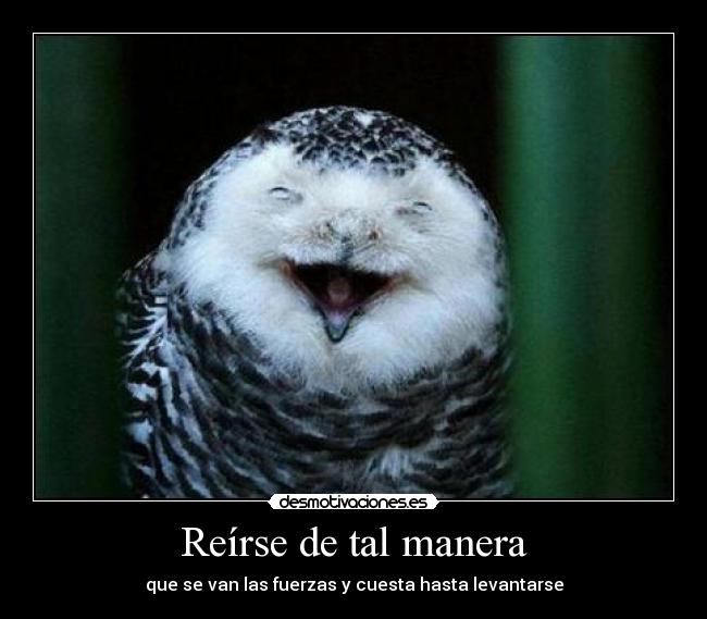 Reírse de tal manera - 