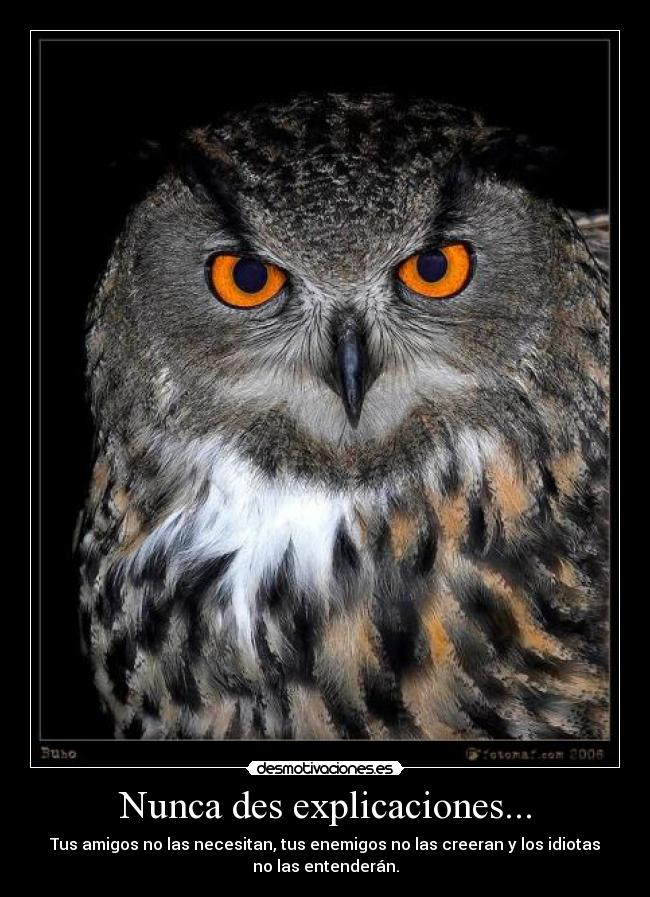 Nunca des explicaciones... -
