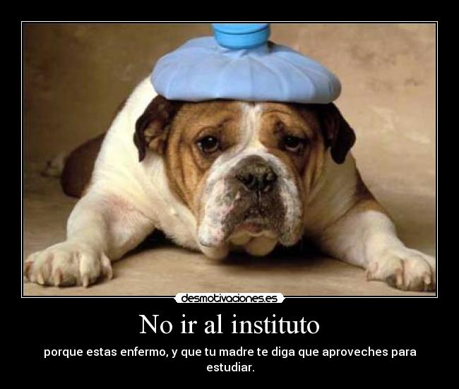No ir al instituto - porque estas enfermo, y que tu madre te diga que aproveches para estudiar.